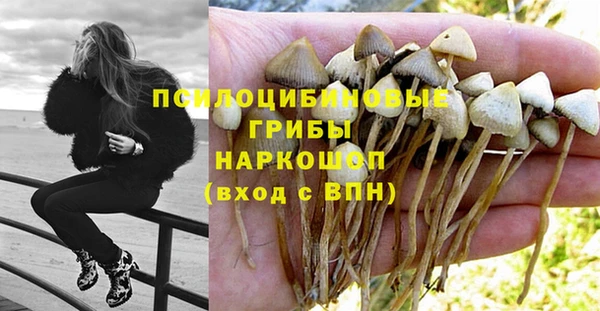 бошки Балахна