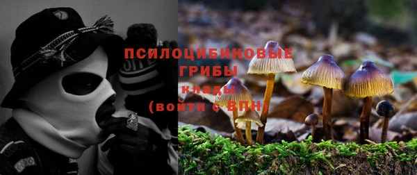 бошки Балахна
