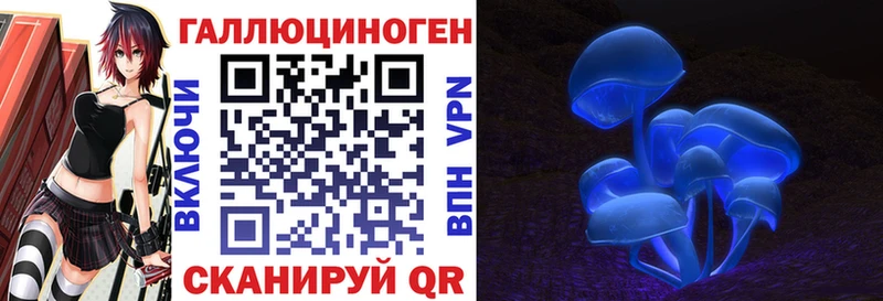 что такое   маркетплейс формула  Псилоцибиновые грибы мухоморы  Благодарный 